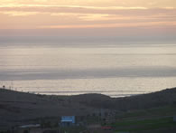12010258