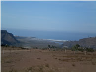 7141175